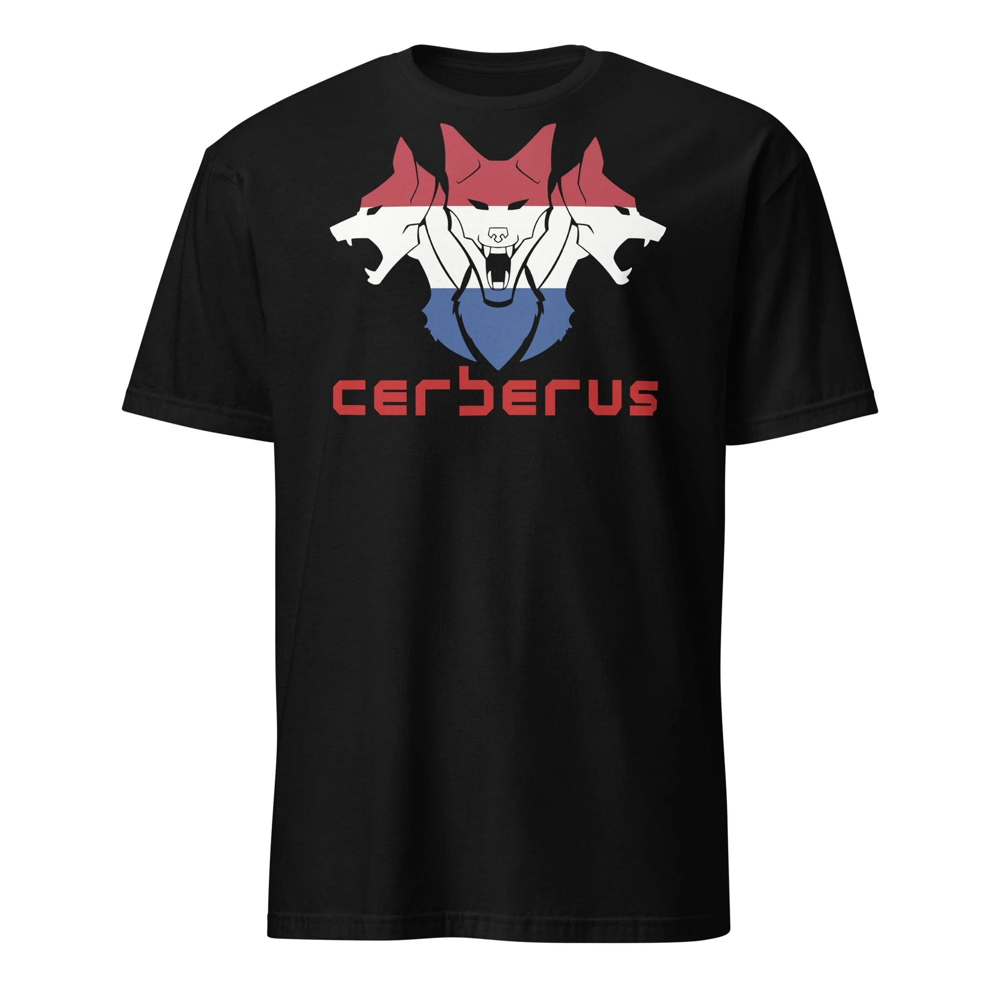 Gym T-Shirts